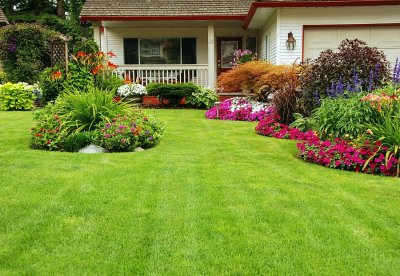 Landscaping Around a Septic System