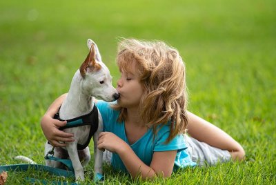 Septic Tank Care When You Have Kids and Pets